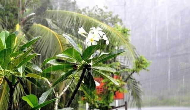 сезон дождей тайланд
